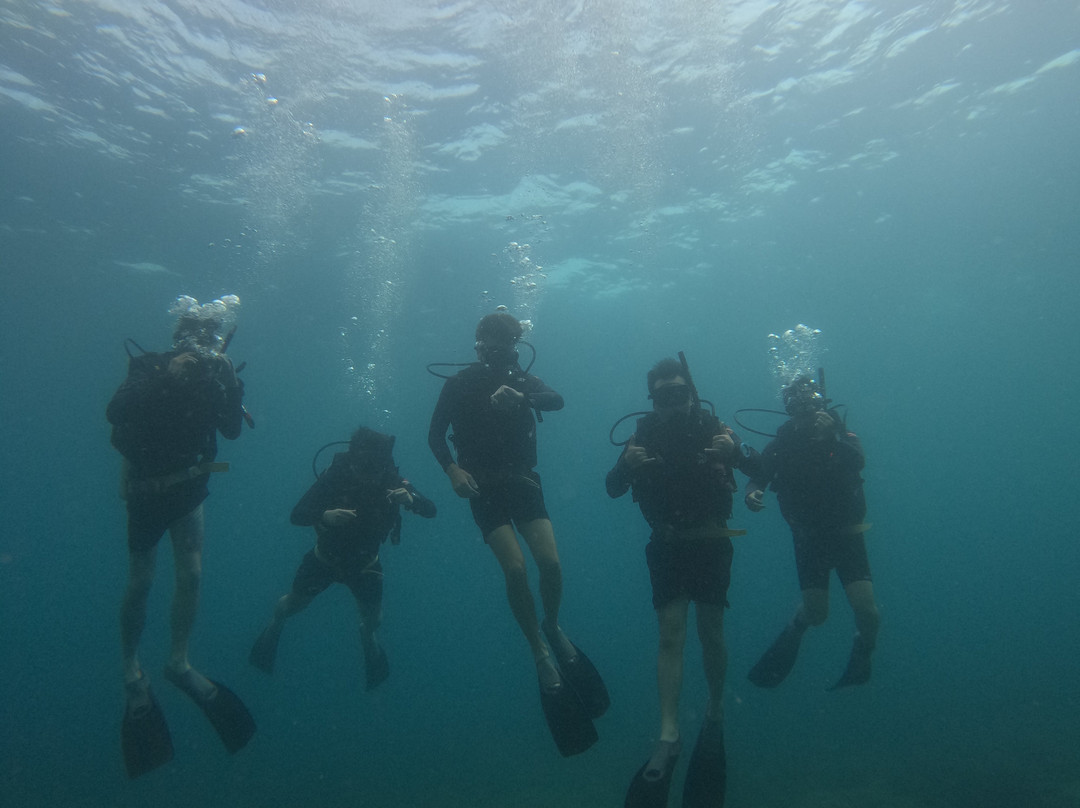 Juara Scuba Academy-刁曼岛必去景点