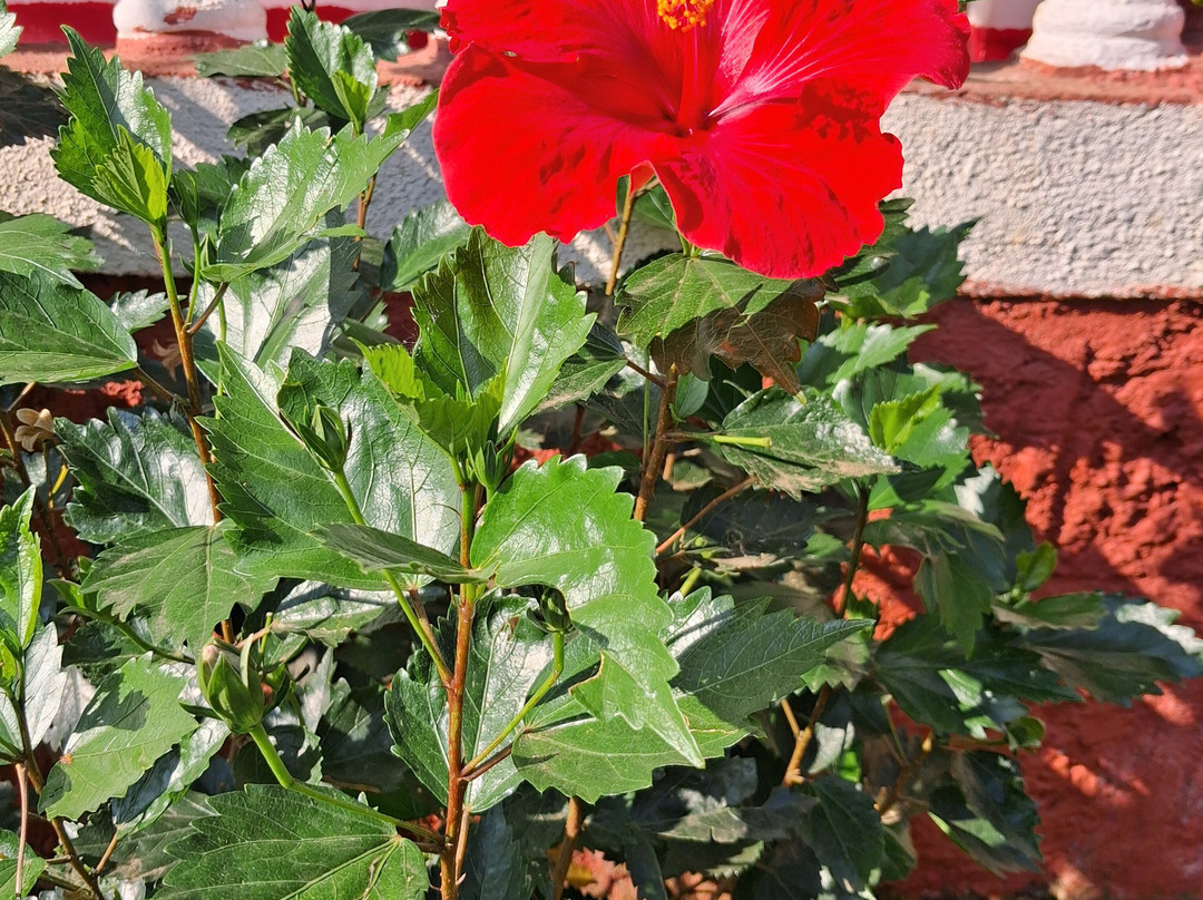 Sherbaug Nature Park & Resort-潘恰格尼必去景点