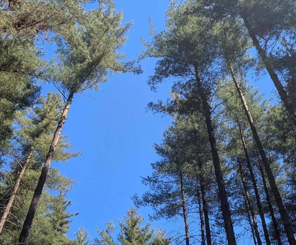 Il Parco dei Lagoni di Mercurago-Dormelletto必去景点