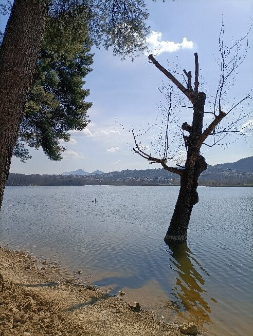 Grand Park (Parku i Madh)-地拉那必去景点