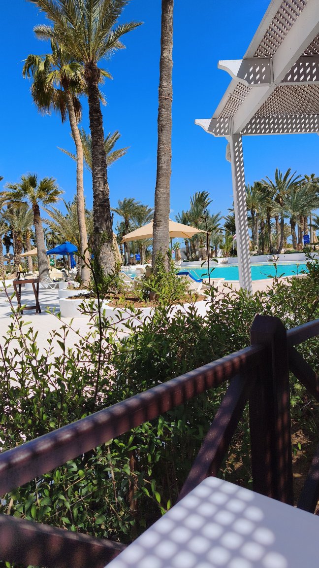 吉尔巴岛棕榈海滩俱乐部-官方