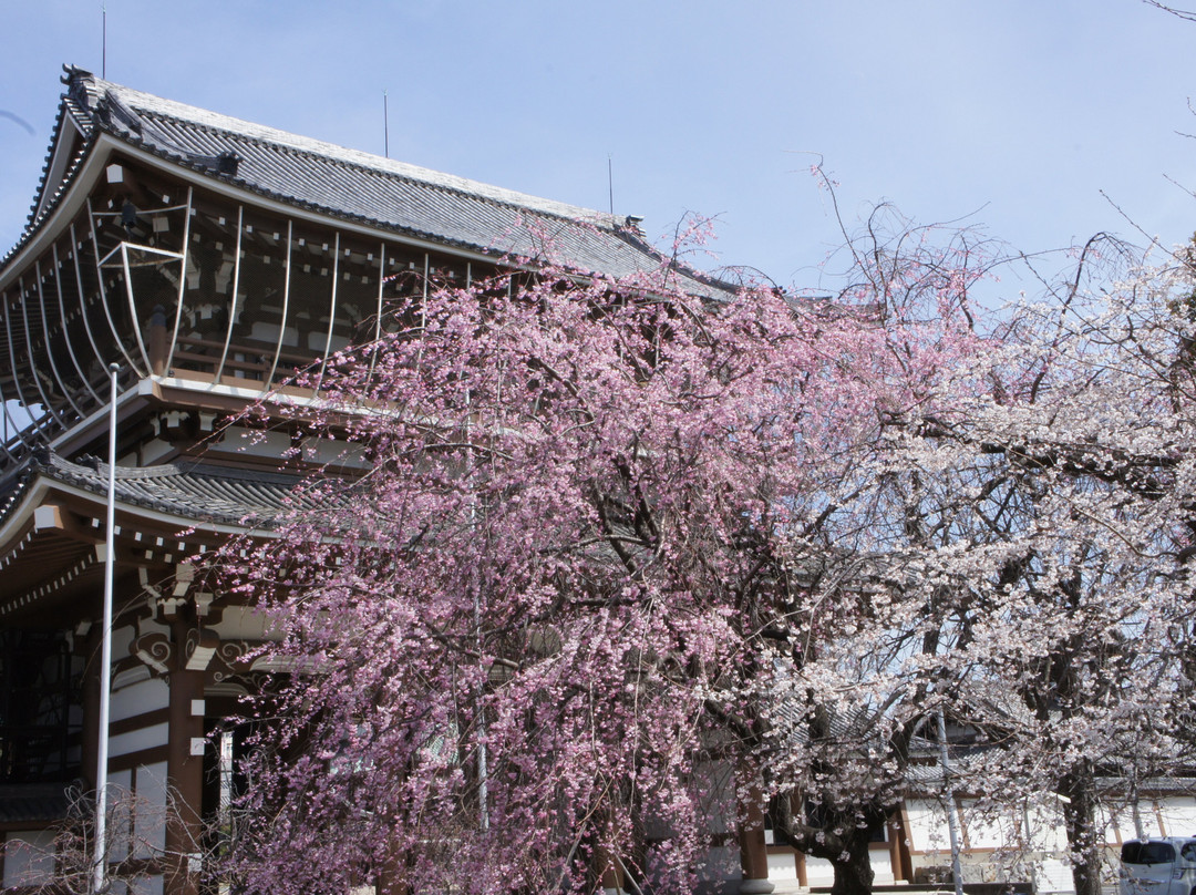 Shinshu Otaniha Nagoya Betsuin (Higashi Betsuin)-Naka必去景点