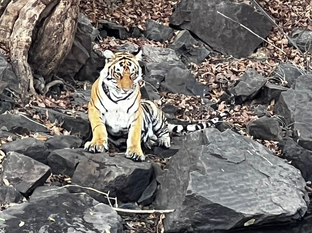 Rifa Tours India - Private Day Tour-瑟瓦伊马托布尔必去景点