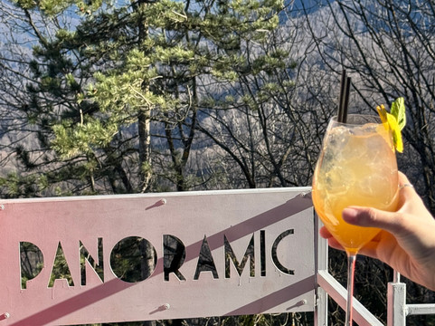 Tampa Cable Car-布拉索夫必去景点