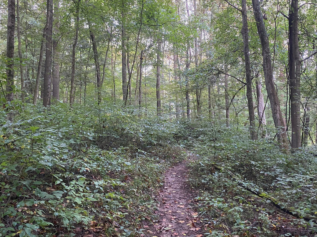 Salt Fork State Park-Cambridge必去景点