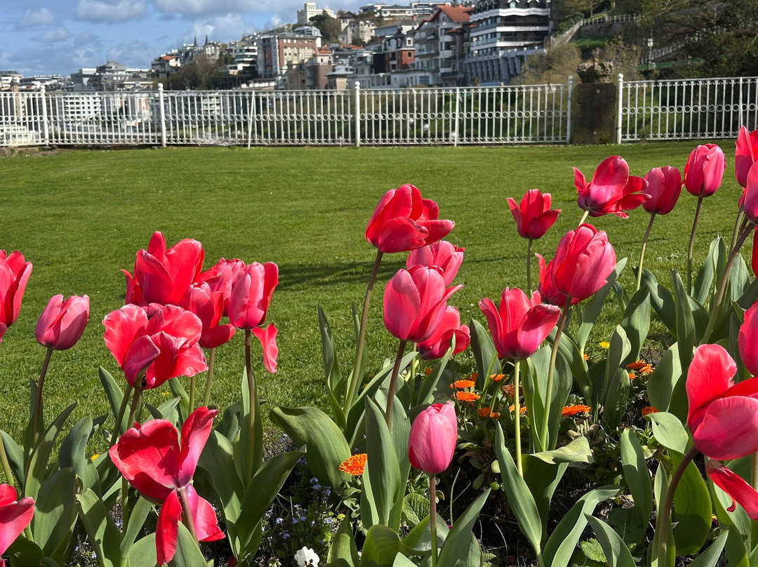 Miramar Jauregia / Palacio-圣塞瓦斯蒂安必去景点