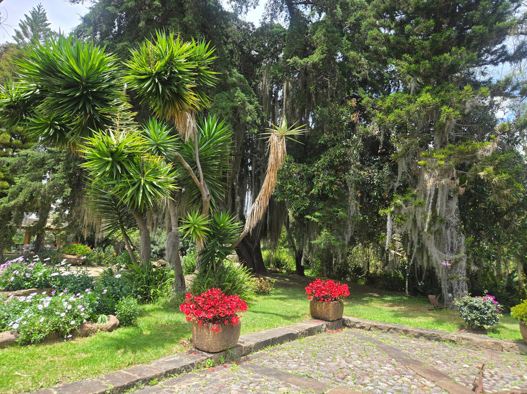 Eco Parque Conscientia Universallis-莱瓦镇必去景点