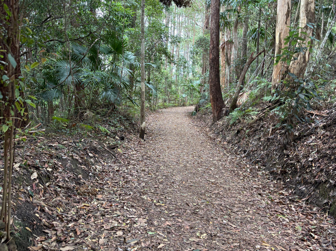 Buderim - Palmwoods Heritage Tramway-Buderim必去景点