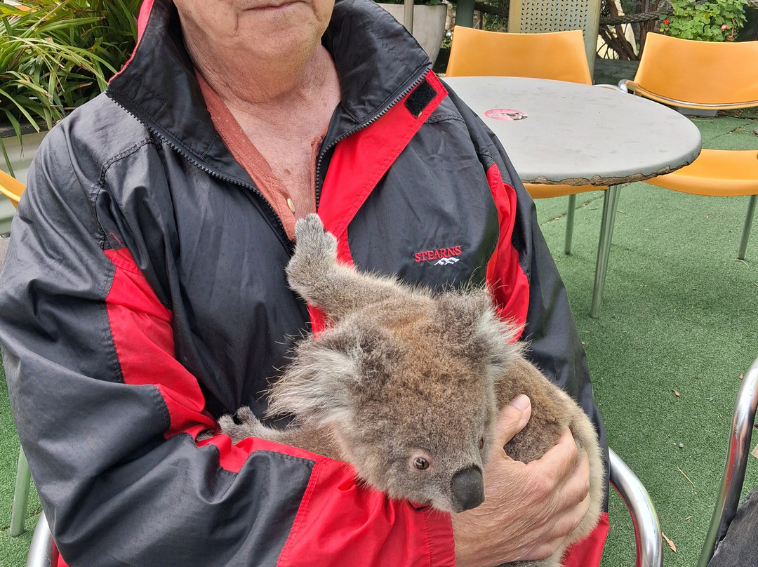Jirrahlinga Dingo Conservation & Wildlife Education Centre-Chewton必去景点