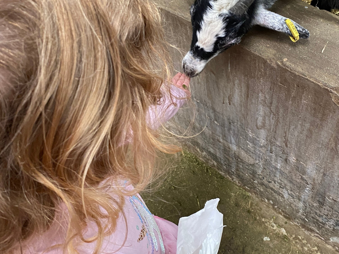 Walby Farm Park-Crosby on Eden必去景点