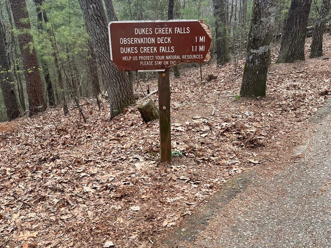 Dukes Creek Falls Trail-海伦必去景点