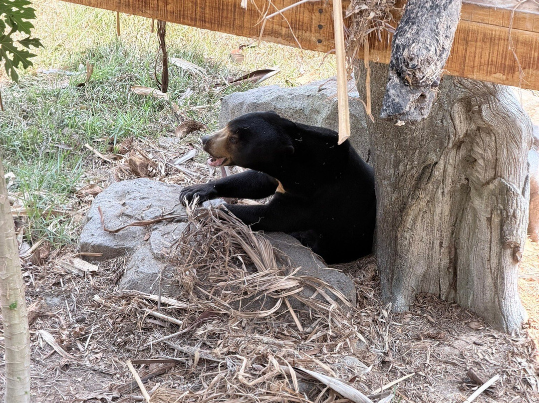 Angkor Wildlife & Aquarium-暹粒必去景点