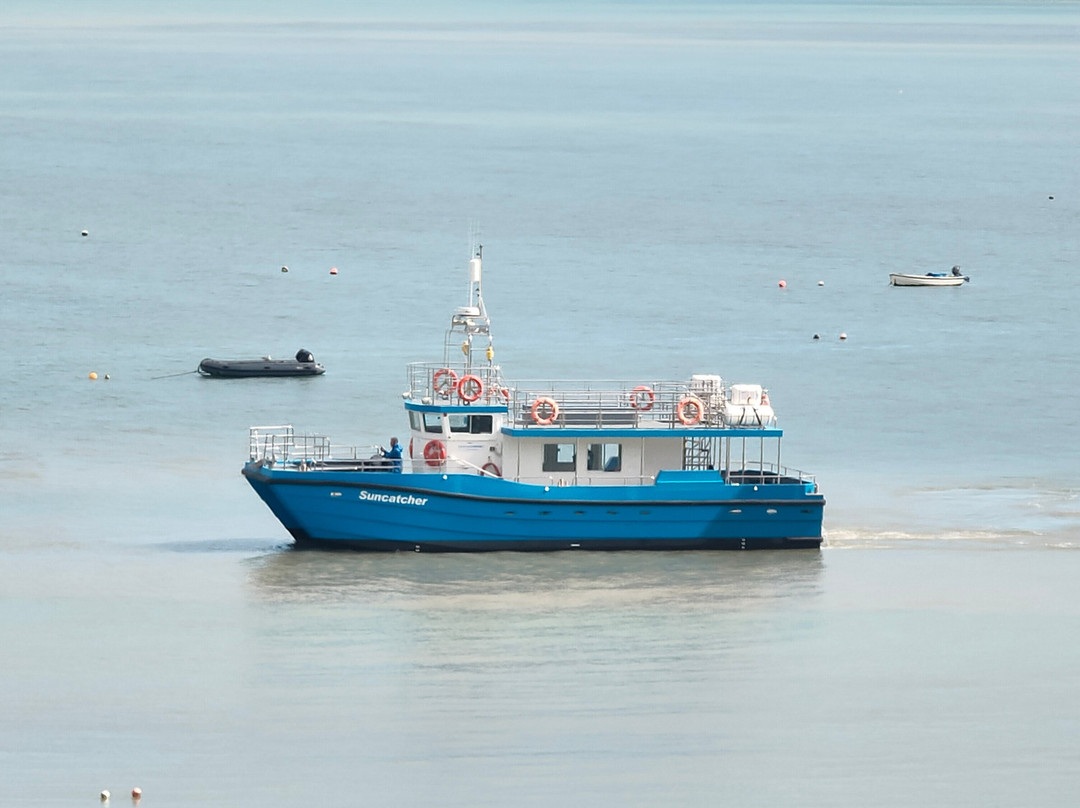 Dolphin Spotting Boat Trips (by New Quay Boat Trips)-纽基必去景点