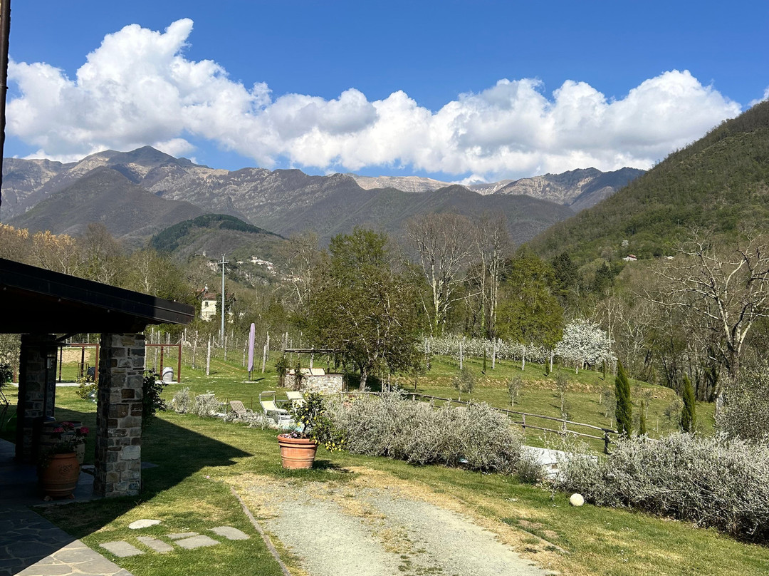 Agriturismo I Giunchi主图