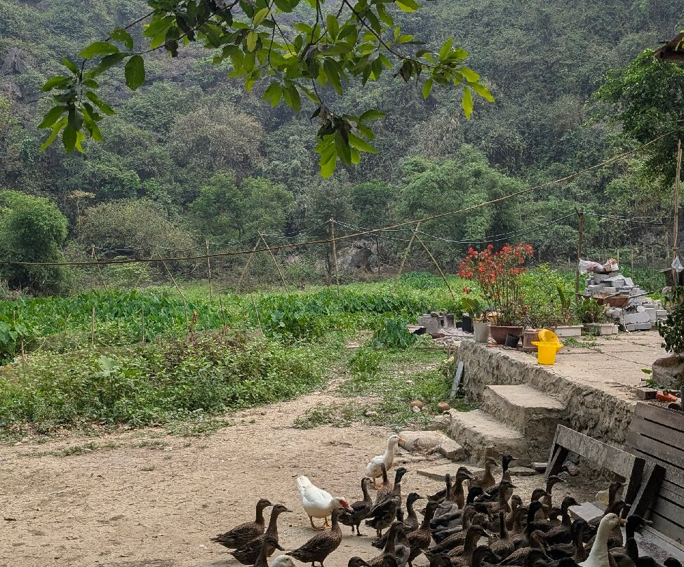 Dundj Valley-宁平必去景点