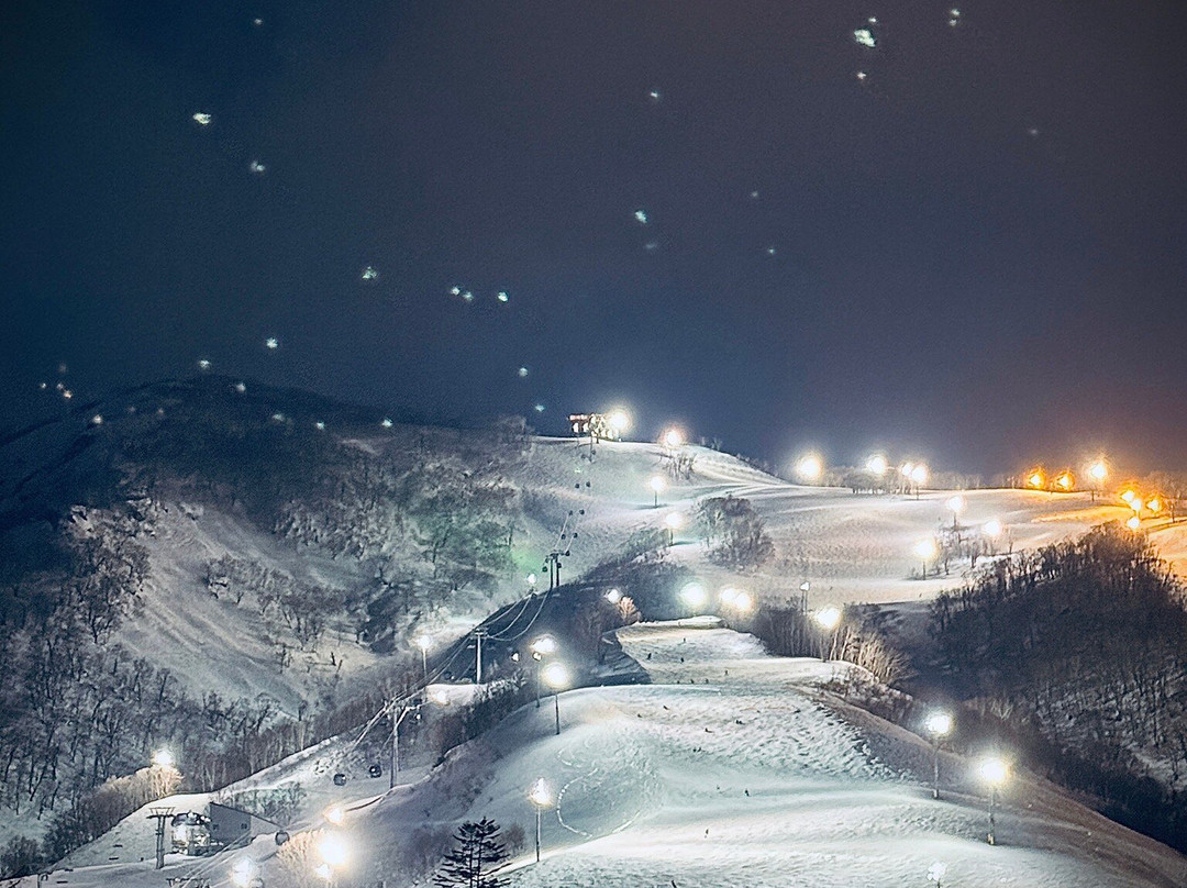 艾薇小木屋主图