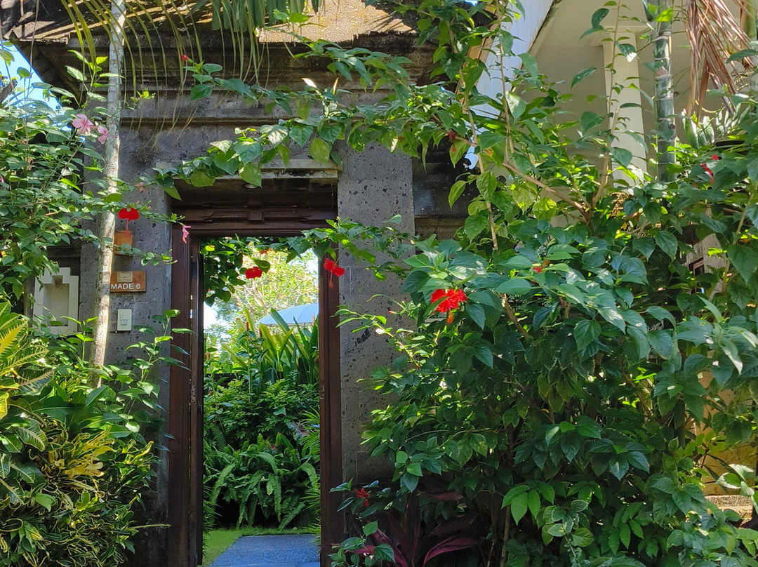 克拉玛斯天鹅别墅及水疗中心主图