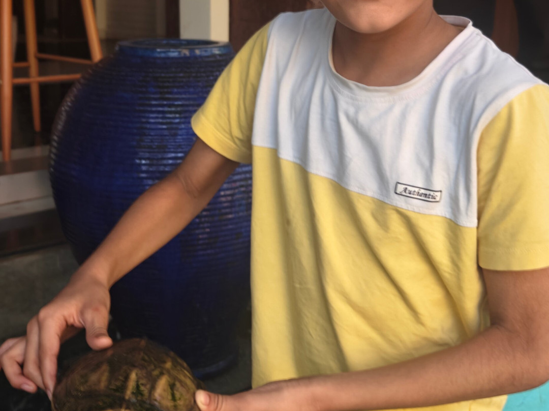 Otium Resort By The Oterra主图