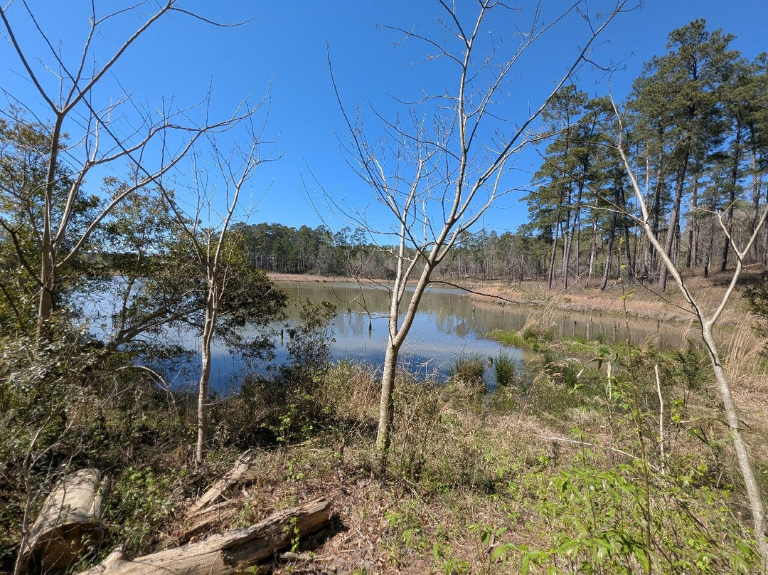 Piedmont National Wildlife Refuge-Juliette必去景点