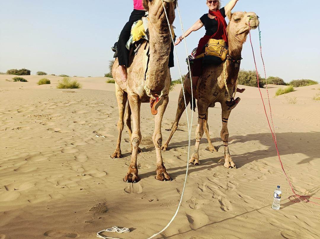 Travel India with Himmat-新德里必去景点