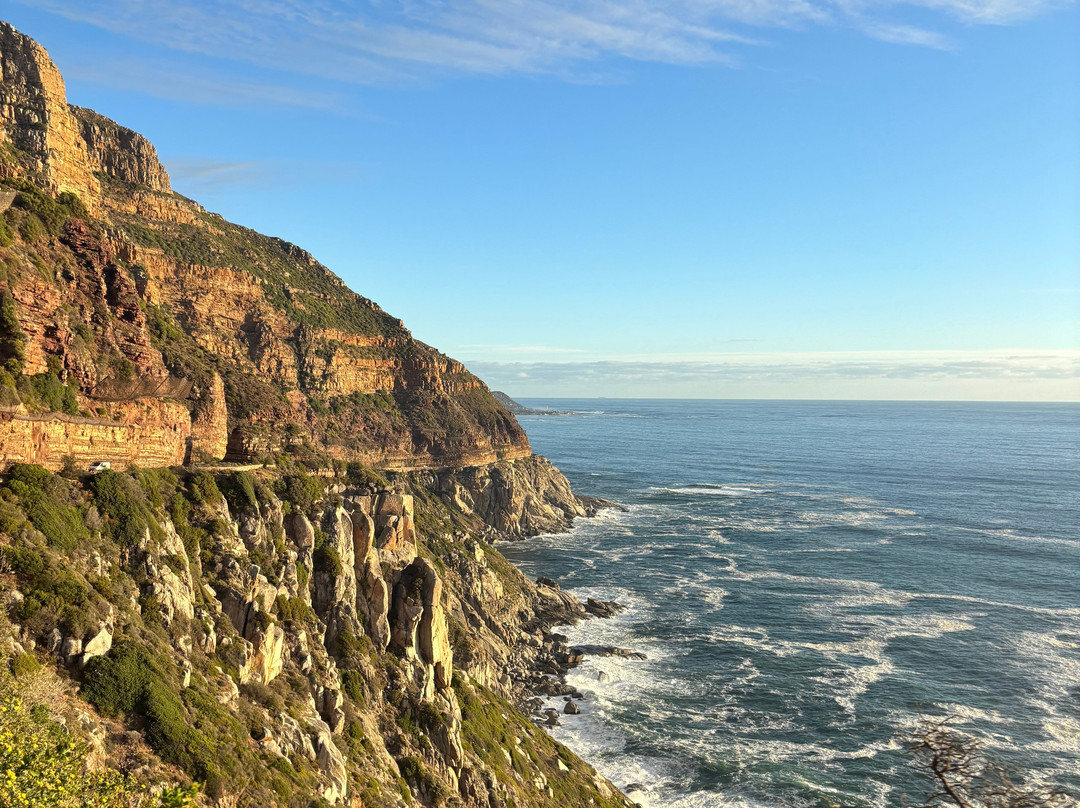 Escape to the Cape Sightseeing Tours-Rondebosch必去景点