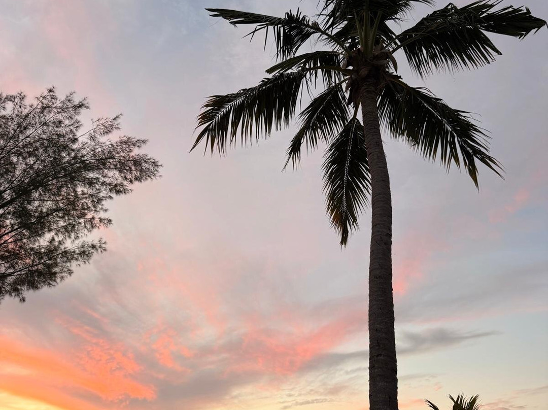 皇家Andilana度假村和Spa主图