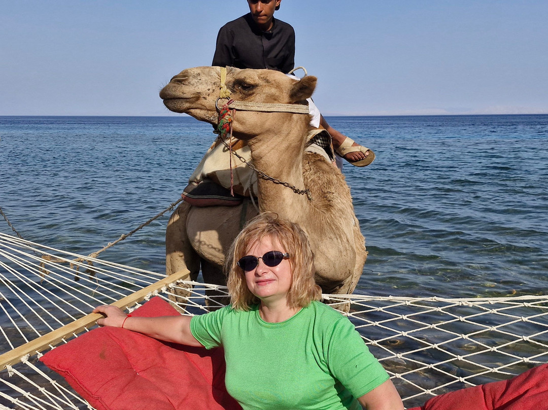 幸福生活村度假酒店主图