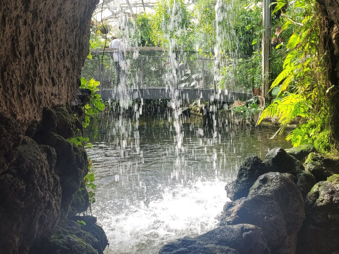 Isle of Mainau-康士坦茨必去景点