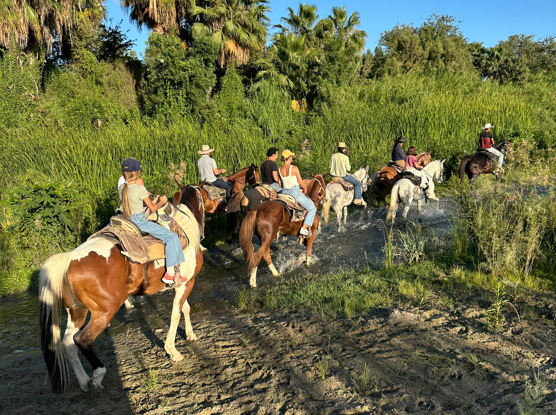 Rancho Animas-Animas Bajas必去景点