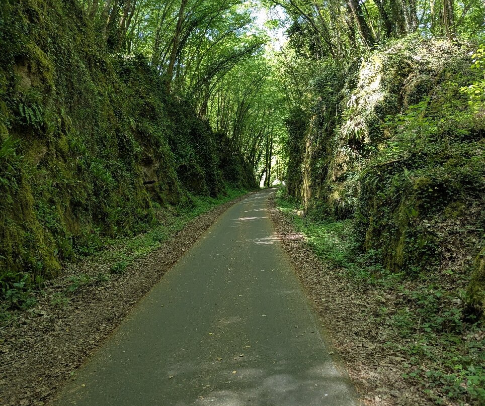 Liberty Cycle SARLAT-LA-CANEDA-萨尔拉必去景点