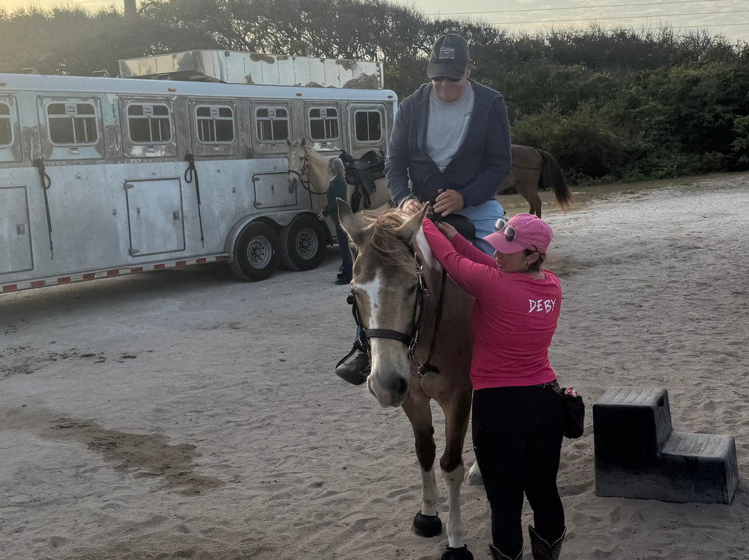 Amelia Island Horseback Riding-费尔南迪纳岛必去景点