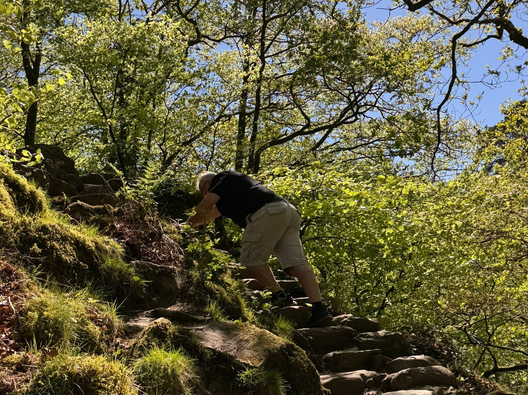 Aberglaslyn Pass-Beddgelert必去景点