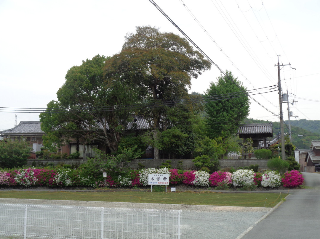 Honkakuji Temple-福崎町必去景点