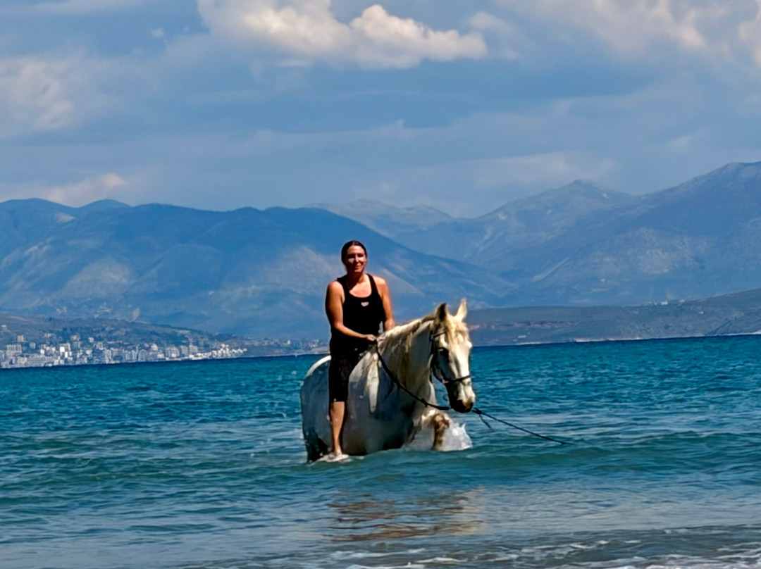 North Corfu Horses-Peritheia必去景点