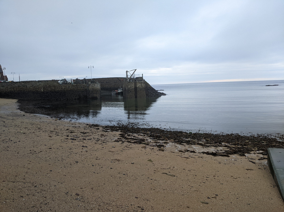 Crail Harbour-Crail必去景点