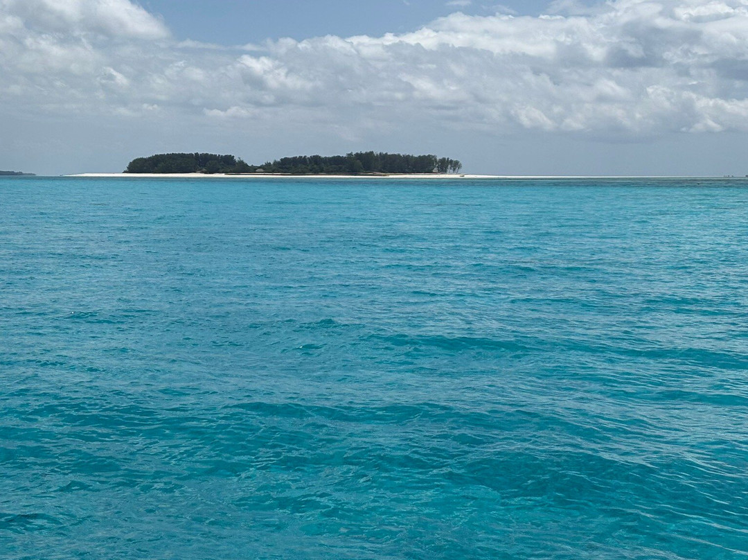 Scubafish Dive Center Ltd-Matemwe必去景点