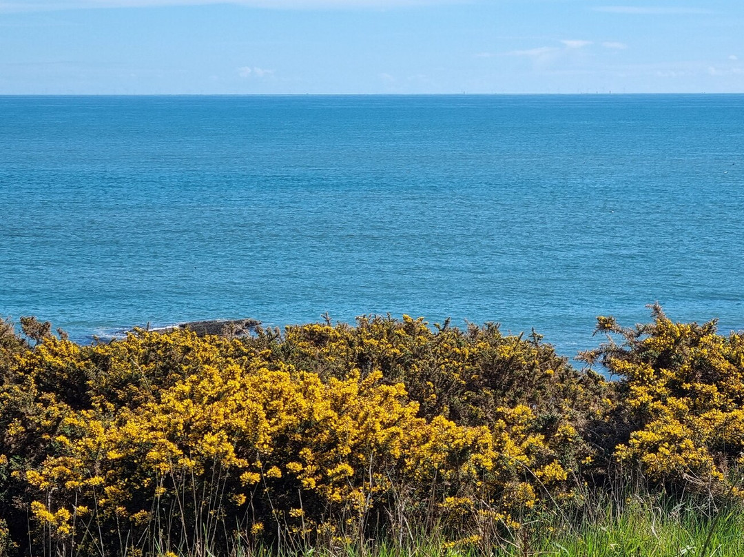 Arbroath Cliffs-Arbroath必去景点