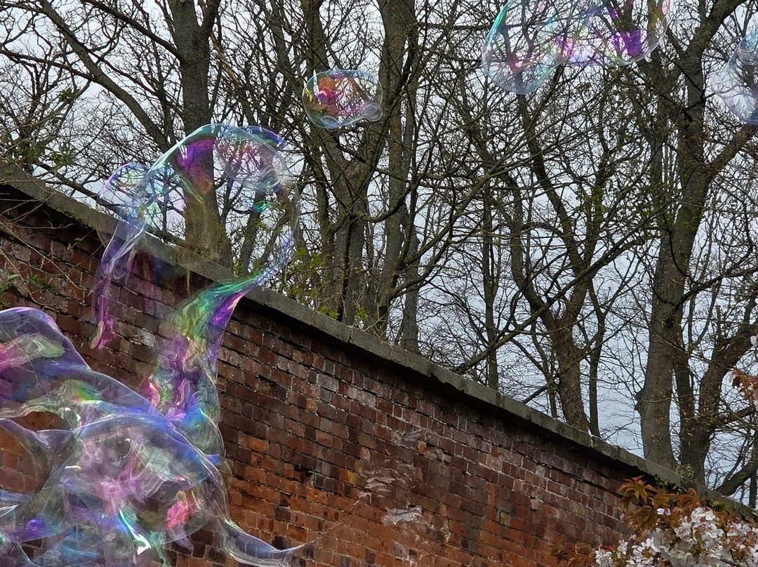 The Alnwick Garden-阿尼克必去景点