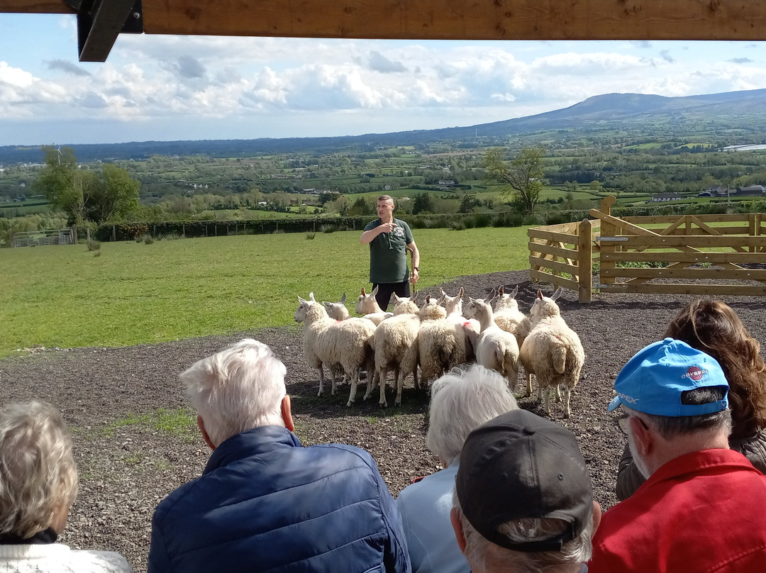 Glenshane Country Farm