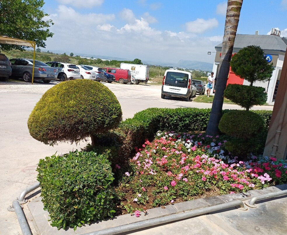 阳台精英度假村 - 全包式主图