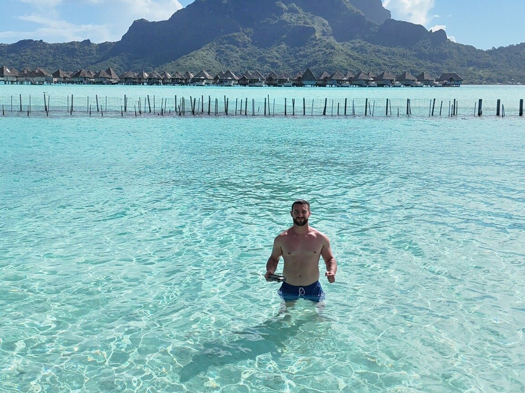 Bora Bora Lagoonarium-瓦伊塔佩必去景点