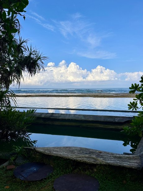 Barberyn Reef Ayurveda Resort-旅行者
