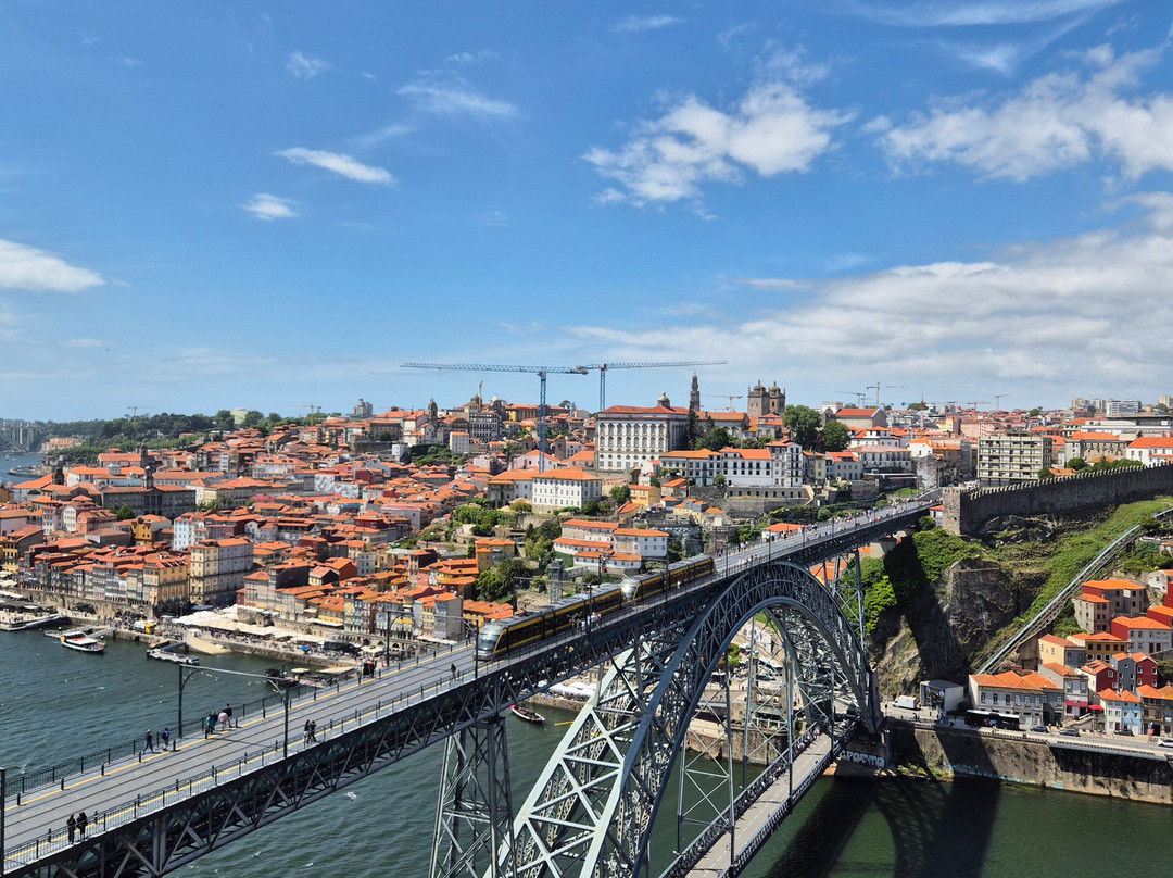 Bluedragon Porto City Tours-波尔图必去景点