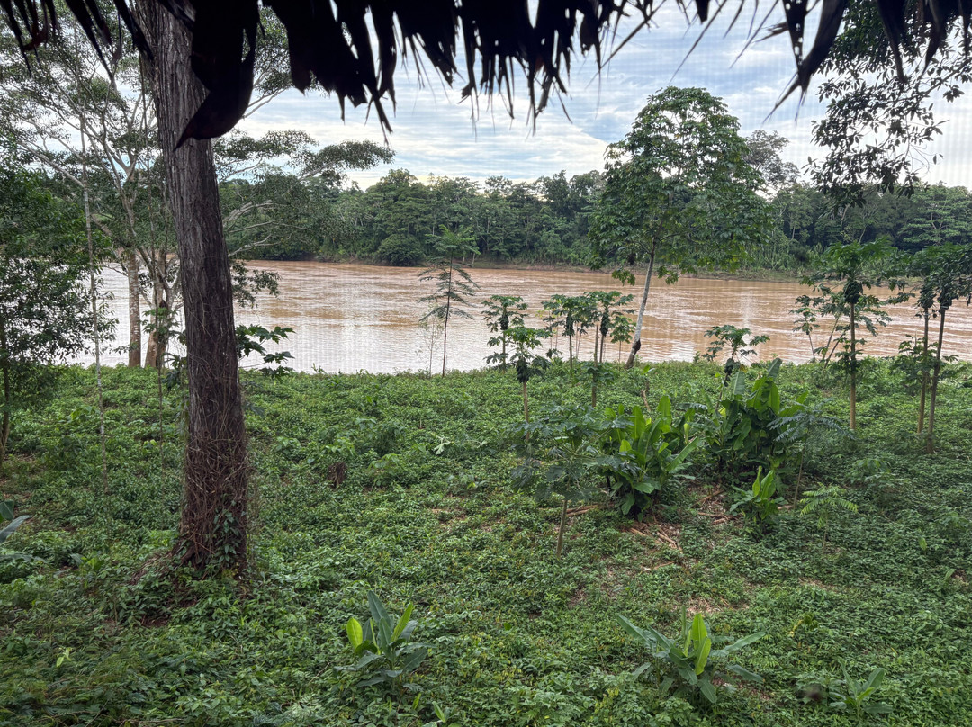 Wasai Tambopata Lodge主图