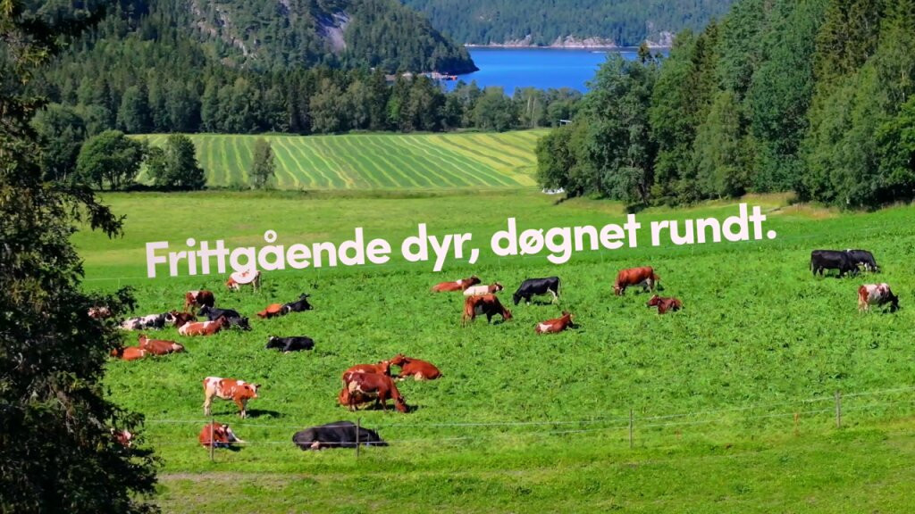 Toddum Gårdsysteri Og Gårdsbutikk-Namsos必去景点