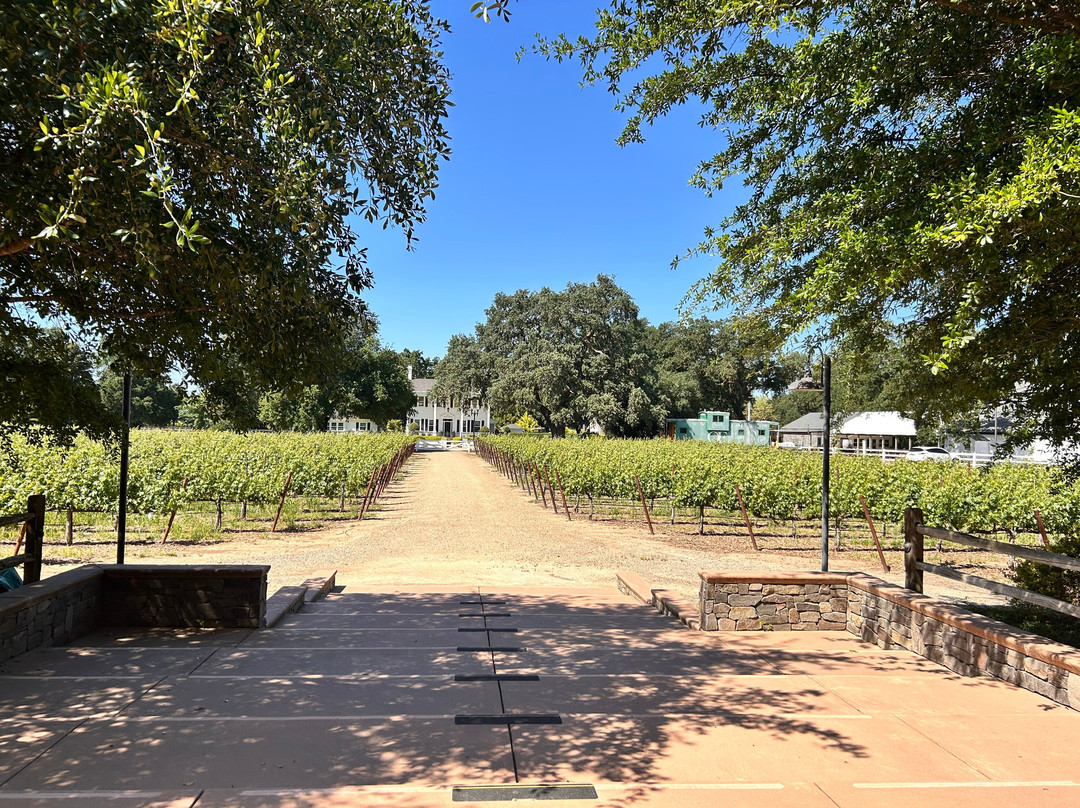 Oak Farm Vineyards-洛迪必去景点