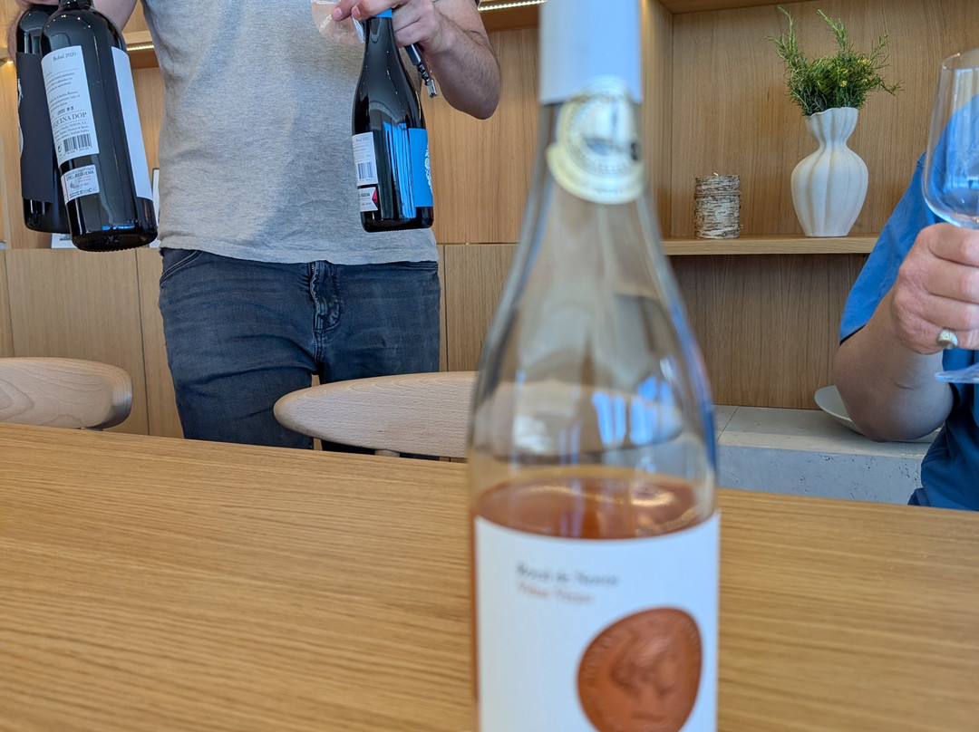 NOVOS - Boutique winery and tastings-Requena必去景点