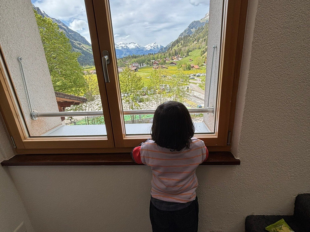 Hotel Ermitage Kandersteg主图