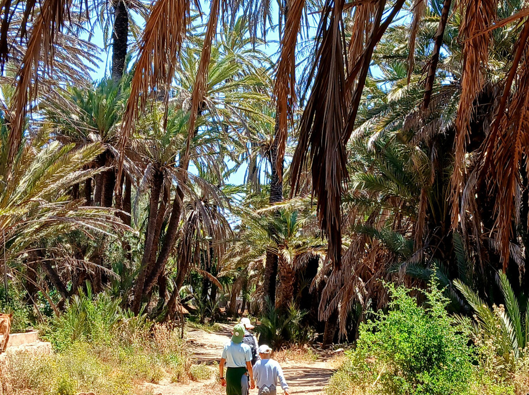 Be-In-Naturetours-索维拉必去景点