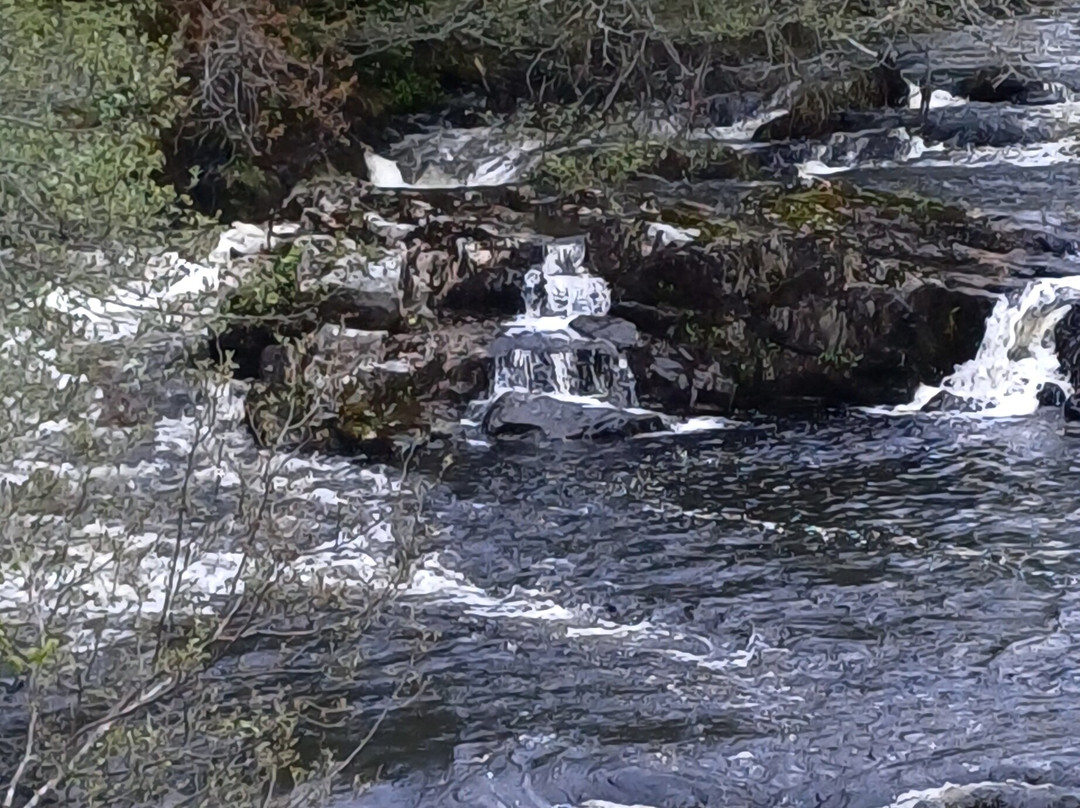 Falls of Shin-Lairg必去景点